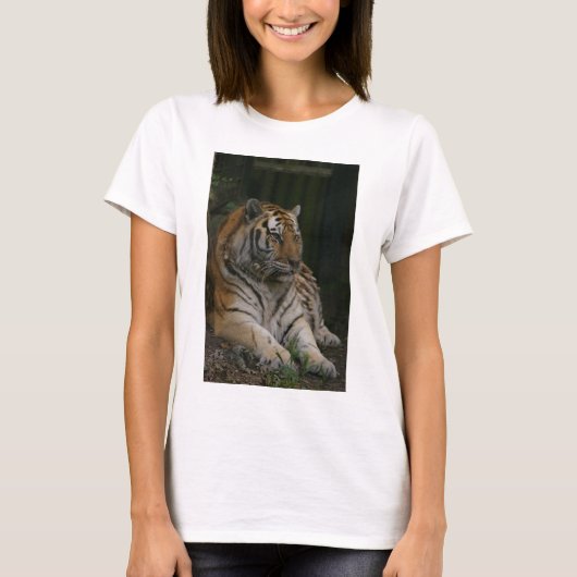 ティグレス汗シャツ Tシャツ (正面)