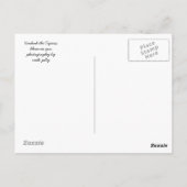 ティグレス ポストカード (裏面)