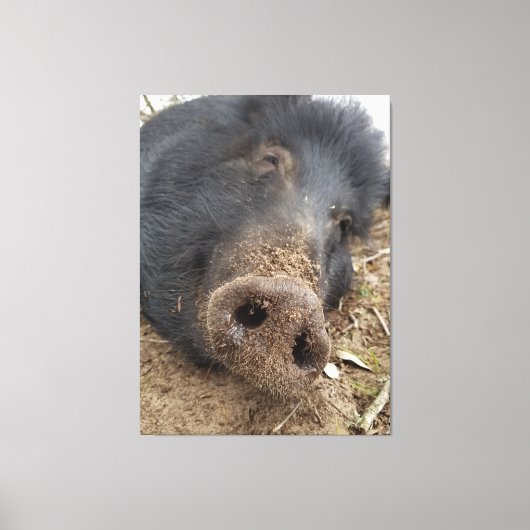 ティグ キャンバスプリント (正面)