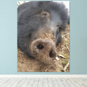 ティグ キャンバスプリント (インサイチュ (ウッドフロア))