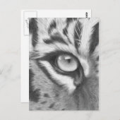 ティゲラウゲ – ブリスティフツェヒョン ポストカード (正面/裏面)