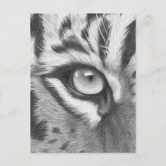 ティゲラウゲ – ブリスティフツェヒョン ポストカード (正面)