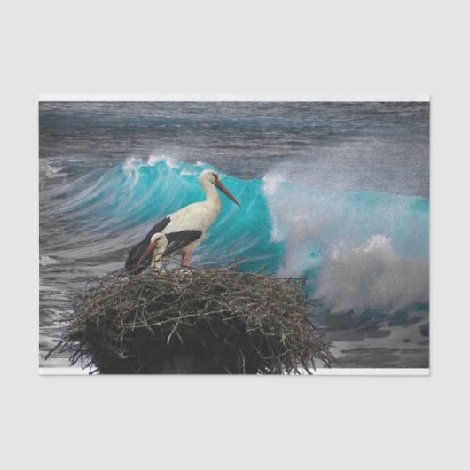 ティシュギフト紙、海及び営巣鳥 薄葉紙 (正面)