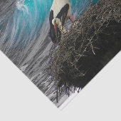 ティシュギフト紙、海及び営巣鳥 薄葉紙 (詳細)