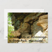 ティショミンゴロックフォーメーションII ポストカード (正面/裏面)