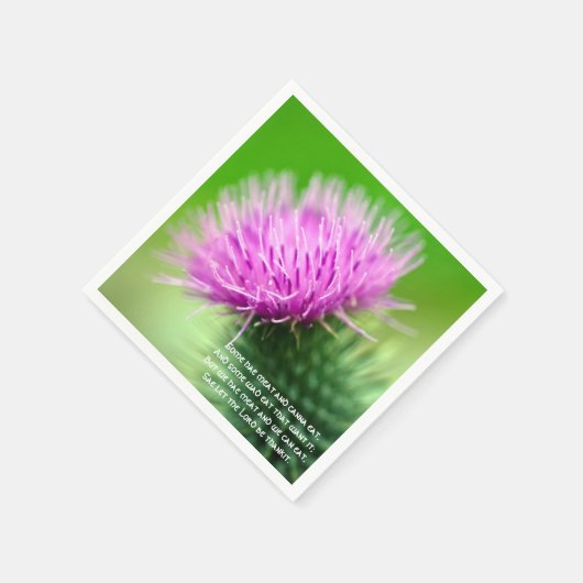 ティスルアンドセルカークグレイスカクテル紙ナプキンス スタンダードカクテルナプキン (角)