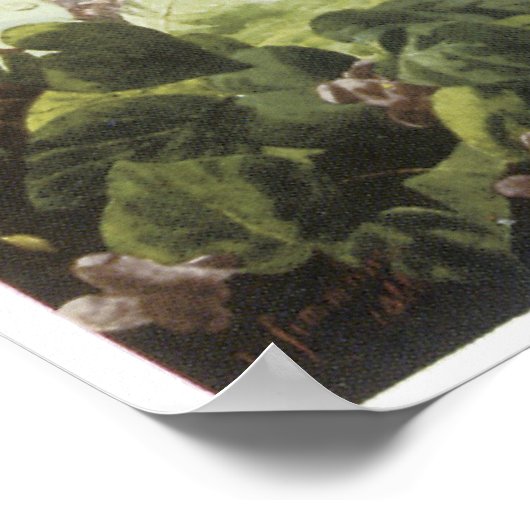 ティターニア1866年ヴィンテージ絵画妖精 ポスター (角)