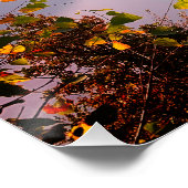 ティチーノ,スイス:モンテ・ブレからのビュー ポスター (コーナー)