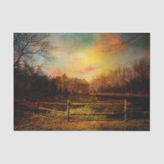 ティッシュは春を紙覚醒させます 薄葉紙 (正面)