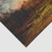 ティッシュは春を紙覚醒させます 薄葉紙 (詳細)