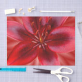 ティッシュギフト紙のサイズ4 -アジアスティックユリ 薄葉紙 (クラフト)