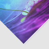 ティッシュペーパーとベビーマーメイド 薄葉紙 (詳細)