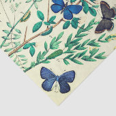 ティッシュペーパーのヴィンテージの蝶デザイン 薄葉紙 (詳細)