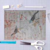 ティッシュペーパーの切り離し – 歌を歌う 薄葉紙 (クラフト)