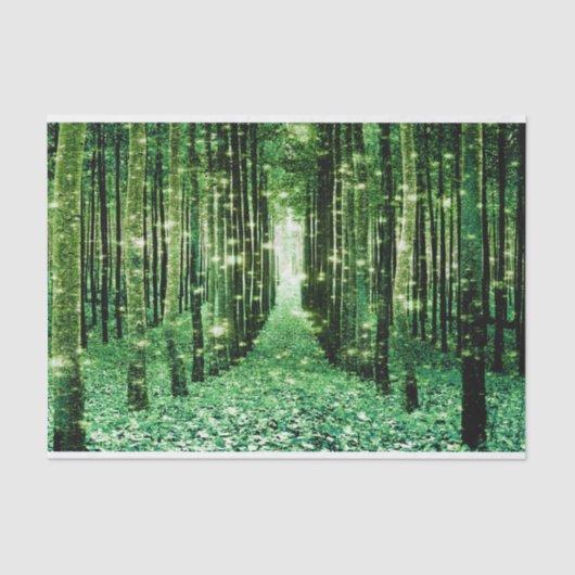 ティッシュペーパーの魔法の森の緑の謎 薄葉紙 (正面)