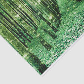 ティッシュペーパーの魔法の森の緑の謎 薄葉紙 (詳細)