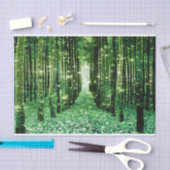 ティッシュペーパーの魔法の森の緑の謎 薄葉紙 (クラフト)