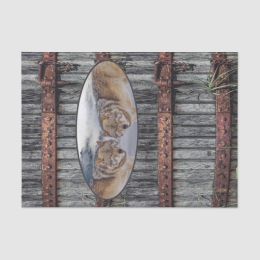 ティッシュペーパーウォルフスウッド 薄葉紙 (正面)