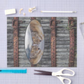 ティッシュペーパーウォルフスウッド 薄葉紙 (クラフト)