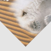 ティッシュペーパーエンジェルポーラーベア 薄葉紙 (詳細)