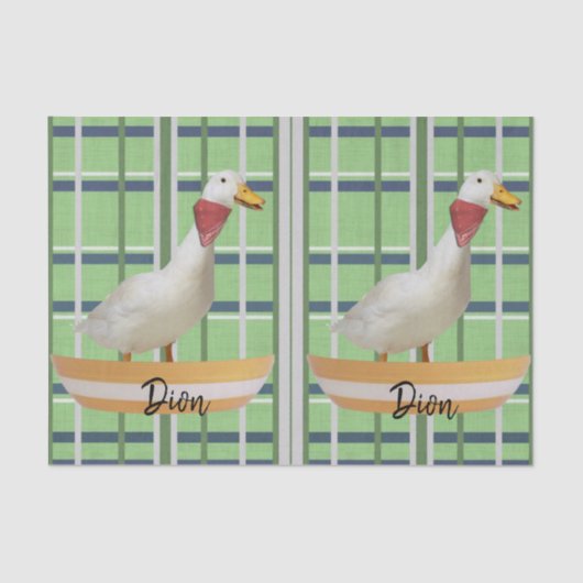 ティッシュペーパーグリーンプレイドダック 薄葉紙 (正面)