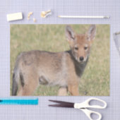 ティッシュペーパーコヨーテ 薄葉紙 (クラフト)