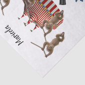 ティッシュペーパーズーサーカスピエロシールダックス 薄葉紙 (詳細)