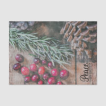 ティッシュペーパーセット(2)地球の平和