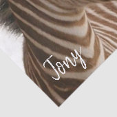 ティッシュペーパーゼブラ 薄葉紙 (詳細)