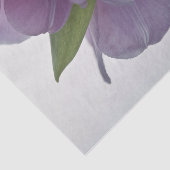 ティッシュペーパーチューリップ上下逆 薄葉紙 (詳細)