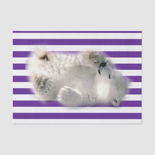 ティッシュペーパーパープルストライプローズポーラベア 薄葉紙 (正面)