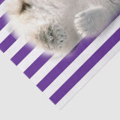 ティッシュペーパーパープルストライプローズポーラベア 薄葉紙 (詳細)