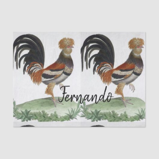 ティッシュペーパーフランスの鳥 薄葉紙 (正面)