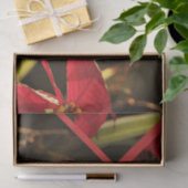 ティッシュペーパーポインセティアクリスマスホリデー 薄葉紙 (ギフト)