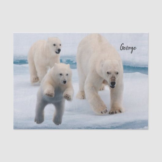 ティッシュペーパーポーラーベア 薄葉紙 (正面)