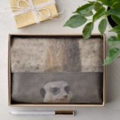 ティッシュペーパーメルカート 薄葉紙 (ギフト)