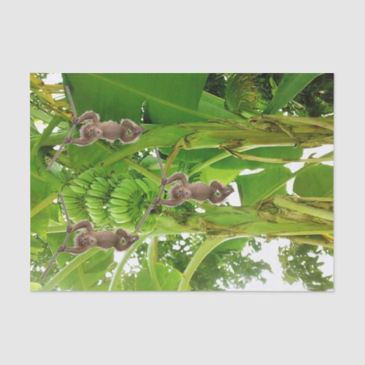 ティッシュペーパーモンキーロープバナナツリー 薄葉紙 (正面)