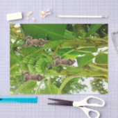 ティッシュペーパーモンキーロープバナナツリー 薄葉紙 (クラフト)