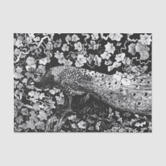 ティッシュペーパー白黒ピーコック 薄葉紙