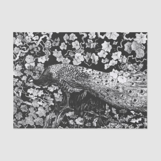 ティッシュペーパー白黒ピーコック 薄葉紙 (正面)