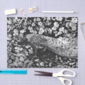 ティッシュペーパー白黒ピーコック 薄葉紙 (クラフト)