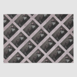 ティッシュペーパー10lbお茶をお持ちの女性用オプト3 薄葉紙