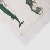 ティッシュペーパー:オリバー・ゴールドスミス：クジラ 薄葉紙 (詳細)