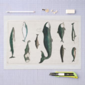 ティッシュペーパー:オリバー・ゴールドスミス：クジラ 薄葉紙 (クラフト)