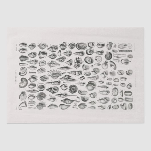 ティッシュペーパー:オリバー・ゴールドスミス：一致学 薄葉紙 (正面)