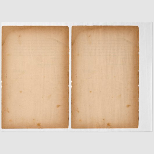 ティッシュペーパー：デクーページ(旧紙) 薄葉紙 (正面)