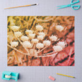 ティッシュペーパー+デコページ紙 – 最初のフリーズ 薄葉紙 (クラフト)