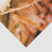 ティッシュペーパー+デコページ紙 – 最初のフリーズ 薄葉紙 (詳細)