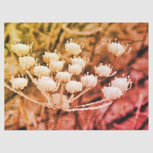 ティッシュペーパー+デコページ紙 – 最初のフリーズ 薄葉紙 (正面)