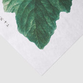 ティッシュペーパー:ピエール・ジョゼフ・レドゥテ：フィギュア 薄葉紙 (詳細)